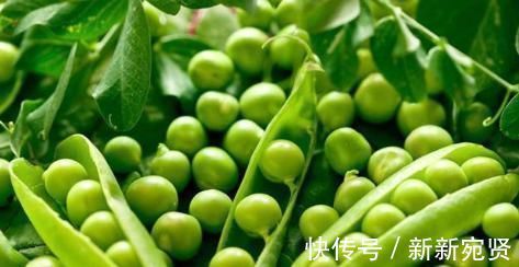 人到中年|无论男女,人到中年常吃3豆,女性吃有百益,能养生,能养人