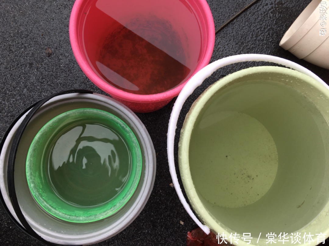 酸性|天生爱淋雨的花，多淋几次，连肥料都省了