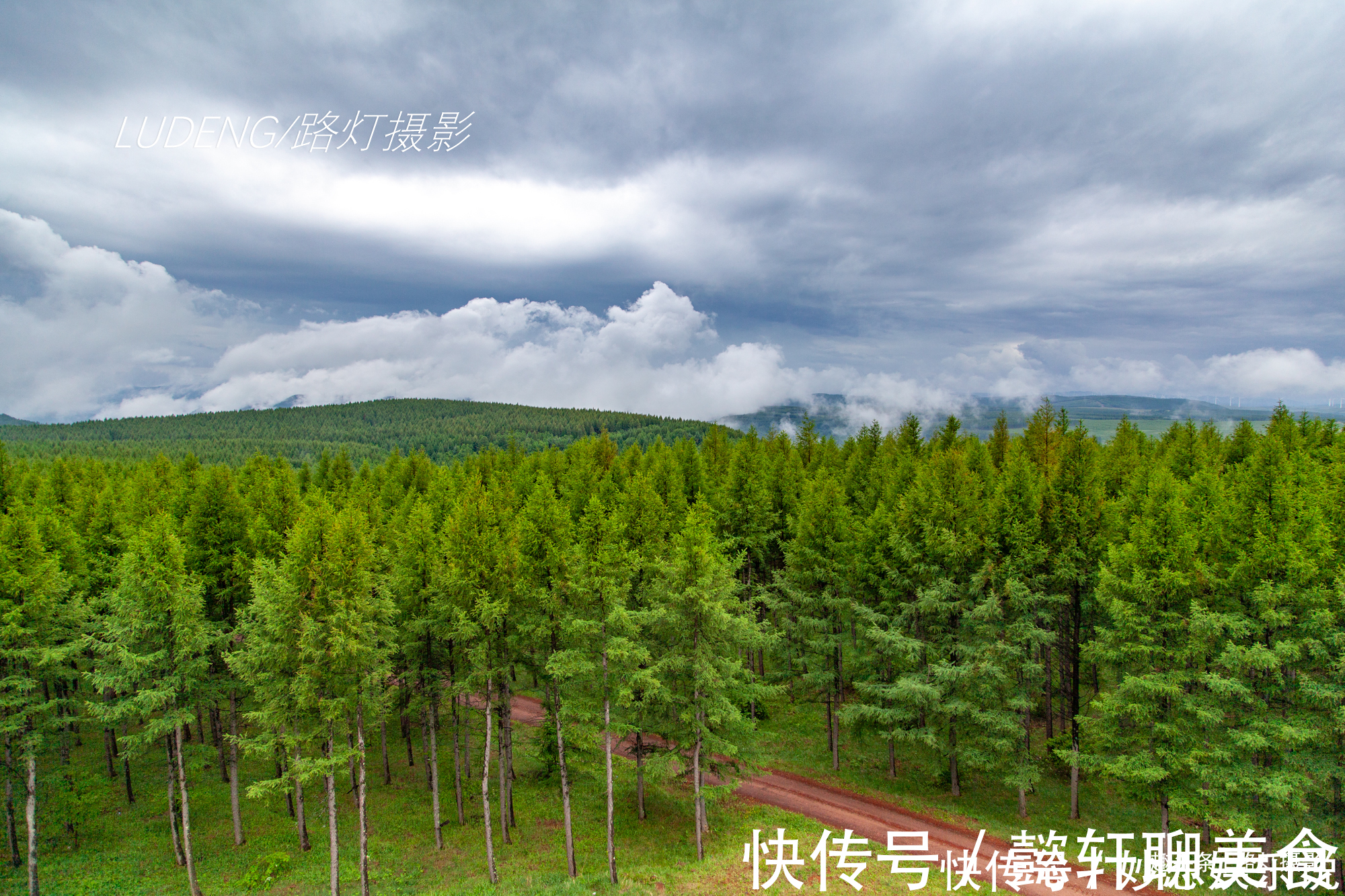 夏天|推荐！中国夏天最美的避暑地，绿荫如海，云淡风轻，好像住在画里