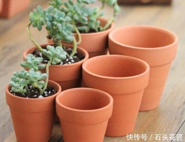 陶瓷|“带釉”的花盆好不好？1个优点、3个缺点要知道，才能养好花