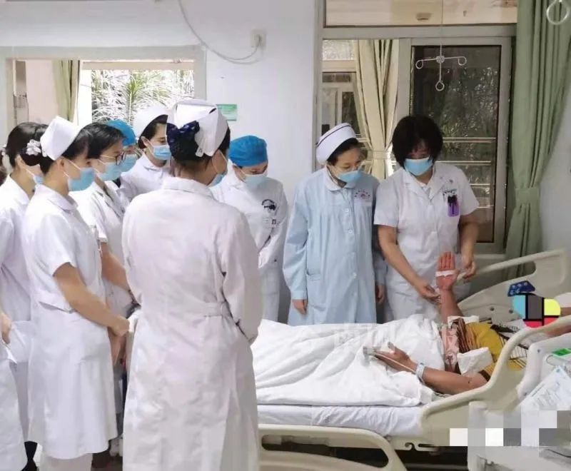 蛇胆+蛇血+蟾蜍+|蛇胆+蛇血+蟾蜍+青蛙生吃下肚，结果…