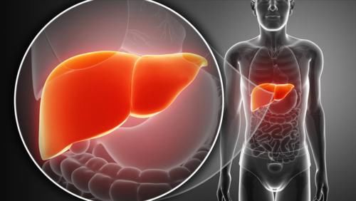 愉悦|肝病的“催化剂”,与酒精无关,这个坏习惯,很多人却都改不掉