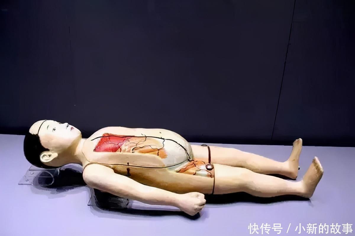 清宫旧藏“西洋文物”,领略异国奇珍!