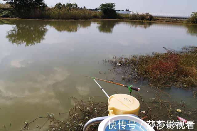 七星漂钓组|冬季野河钓鲫鱼,不是每段都有鱼,找这四种位置,鲫鱼基本躲这里