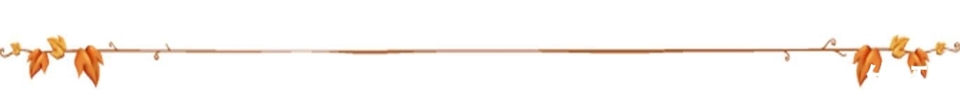 土质|楼下邻居装修，装了点木屑回家养花，给你们说说木屑养花的好处