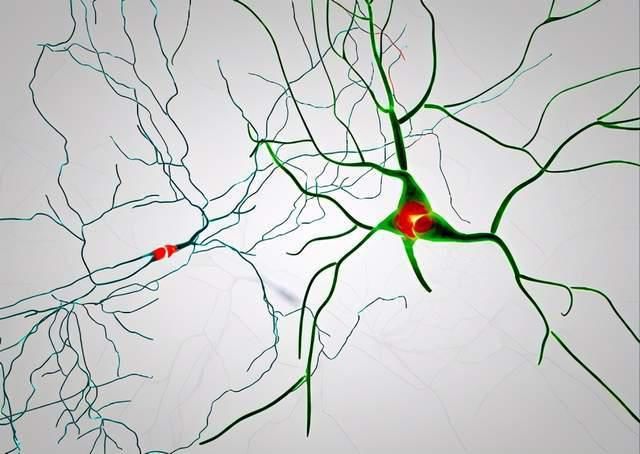  来自|多巴胺阈值：从性到商业社会，你的愉悦并非来自快感，而是新奇