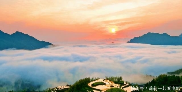 读史小记:唐·宰相肚量