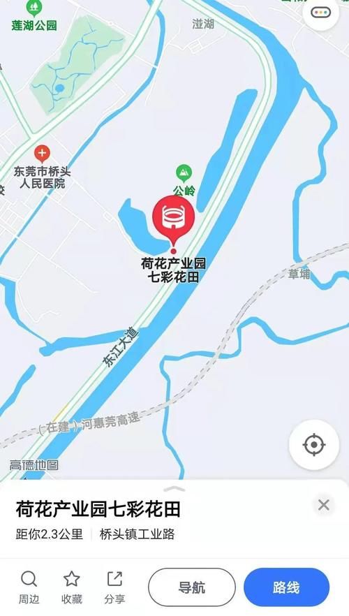 随手一拍就是大片！这个七彩花田成市民新春假期打卡地