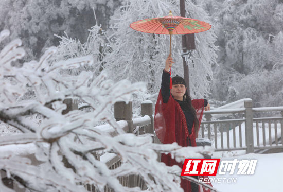 天子山|张家界景区天子山：雨雪迎新春 冰挂晶莹剔透（组图）