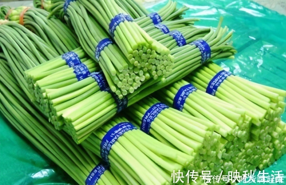 蒜苔的“尾巴”，其实是好东西，很多人当垃圾扔了，不懂吃可惜了