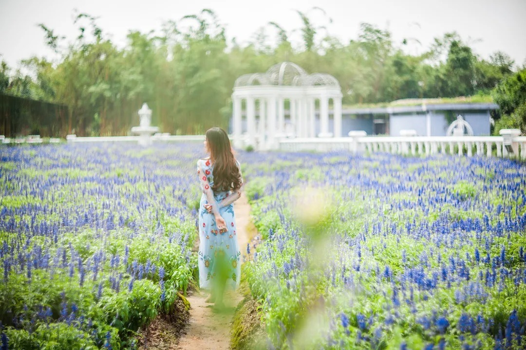 |半生已过,学会“幽默”