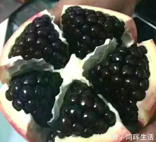 大果型黑籽甜石榴有什么特点大果型黑籽甜石榴适宜在哪里种植