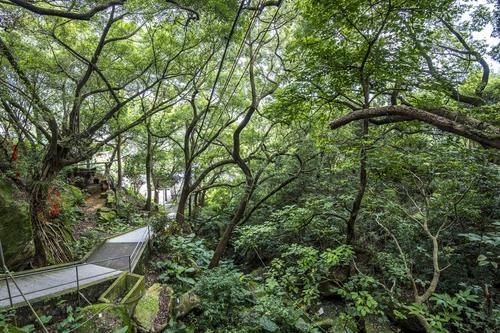 花样漳州：登龙湫岩