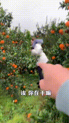 |搞笑GIF:妹子 惊不惊喜 意不意外 下次坐的时候千万要小心