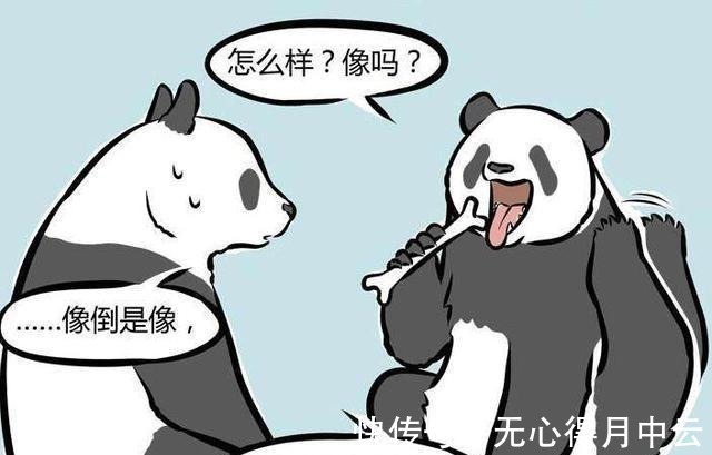 犬类|非人哉中的十一月活用化形术,帮助九月钓龙二代,还带着哮天打工