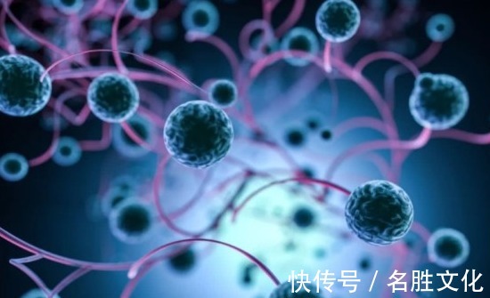 科主任|为什么有些人不易得癌肿瘤科主任他们可能有六个特点