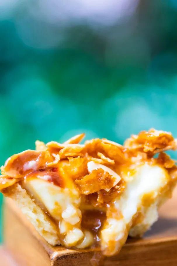 拉丝|爆浆拉丝！亚洲第一芝士挞，终于上新