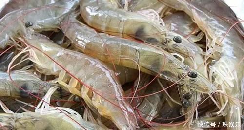 保存大虾时,直接放冰箱就错了老渔农教你一招,跟吃鲜虾一样