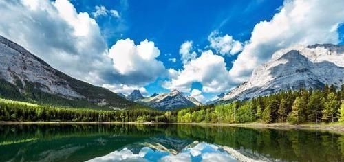 家长|心理医生:孩子若偏爱这种颜色,内心可能孤独寂寞,爸妈要多上心