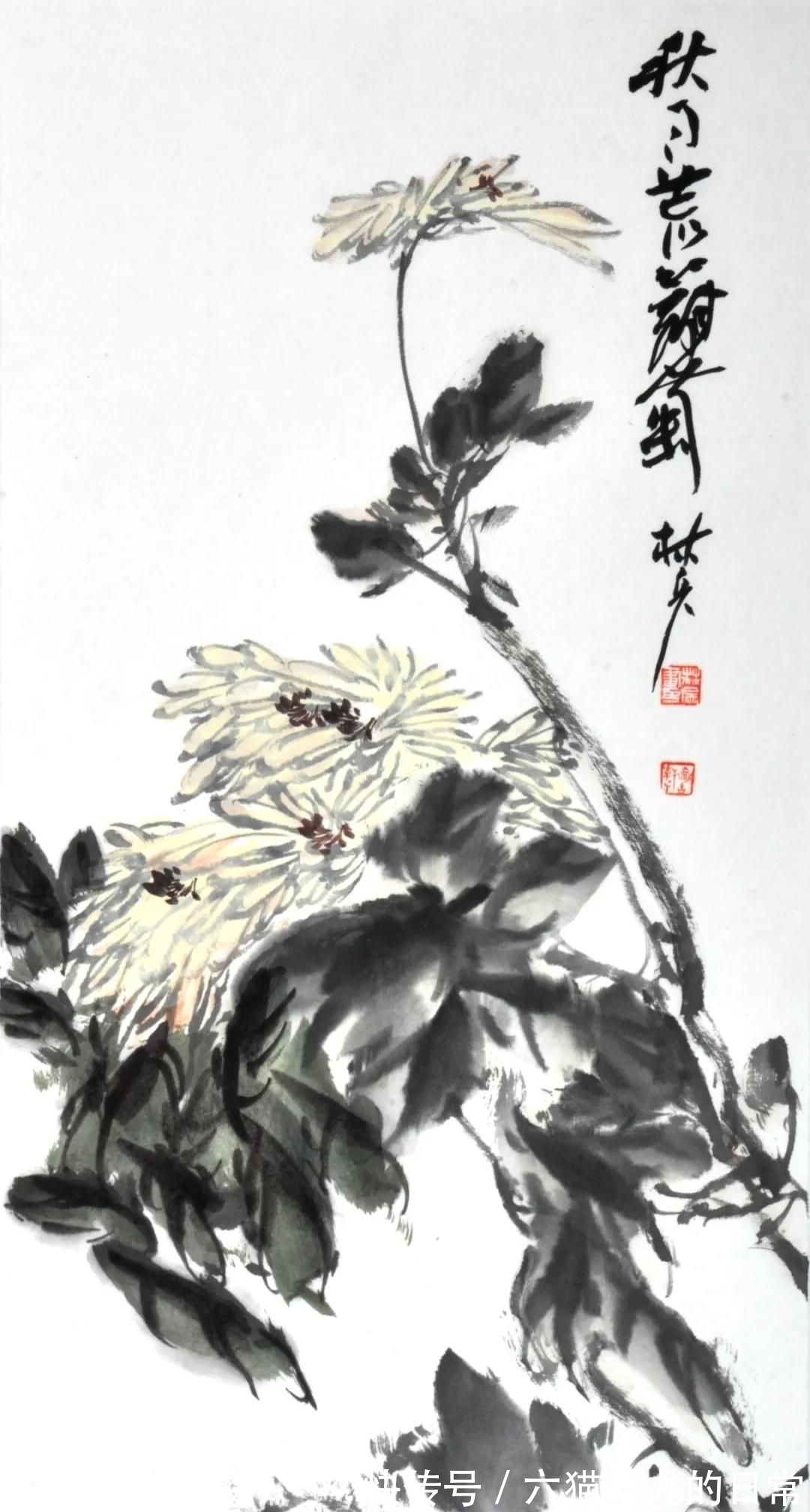 玉兰@著名花鸟画家林兵:那些追逐“花容月貌”的往事与传说