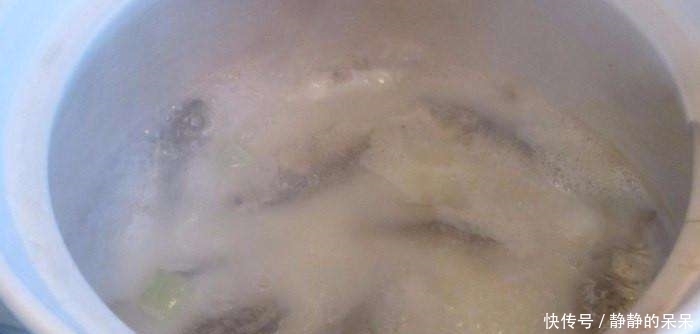 失败|炖鲫鱼只需加盐,汤特别白,而且零失败,原来以前都做错了