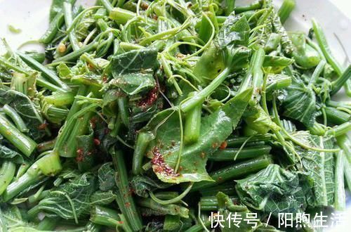 糖尿病|一旦查出糖尿病，工资少也要吃“它”，助你稳定血糖不上升