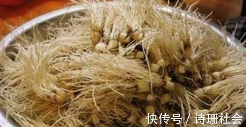 杀菌|十个女人九个炎症,这3种食物,每天吃两口,从此远离妇科炎症