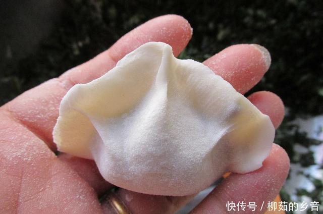 地面团|吃饺子这馅真鲜，比韭菜芹菜好吃多了，出锅连吃30个，比肉馅好吃
