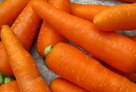 强壮|胡萝卜和此物一起炖,猛长个儿,眼睛也更清晰,血管畅通无阻