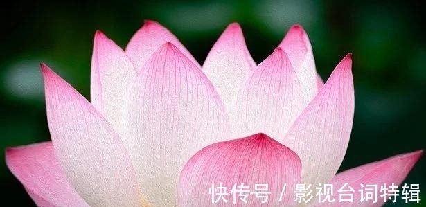 桃花|6天后，福气开启，浅笑而安，赚钱有道，桃花加持，误会解决