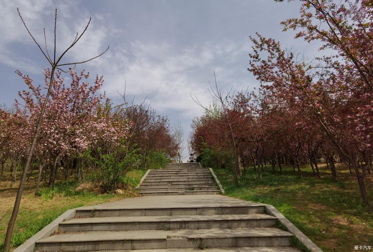 春秋轮回，岁月蹉跎。转眼又是一年春来到，踏青春游分享记