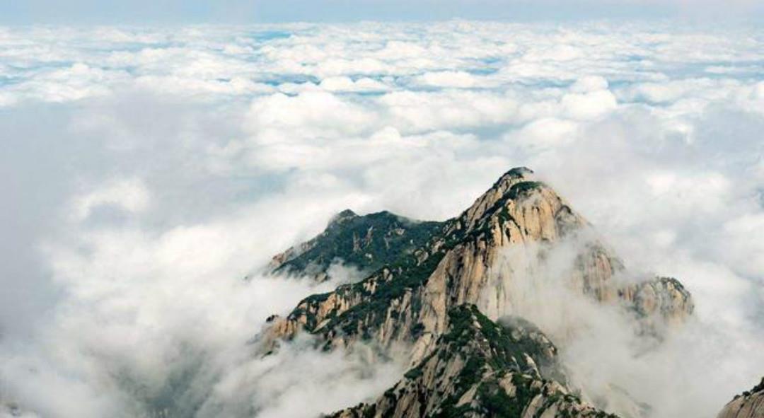 王安石读了偶像的诗很感动,犹如一位小粉丝,还写诗表达仰慕之情