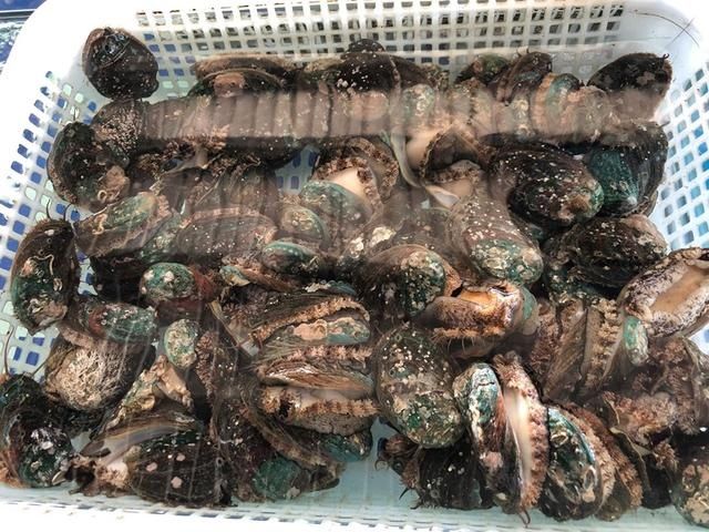 鲜嫩|立秋后，有钱没钱，这6种海鲜要多吃，鲜嫩又肥美，遇到别错过