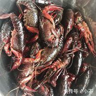 日常小龙虾做法