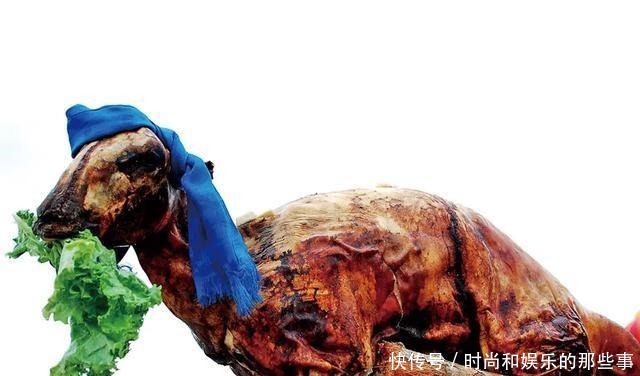 这片草原有你熟悉和向往的味道!这片草原有你熟悉和向往的味道!