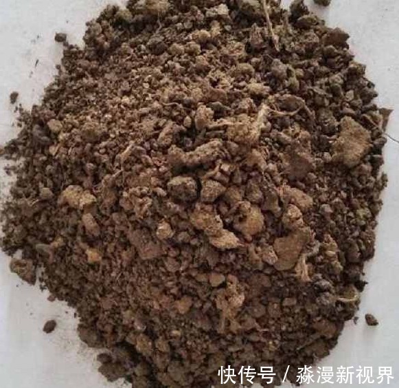 鸡粪肥|如下3种有机肥制作起来特简单、肥力足、无臭味，花儿用了蹭蹭长