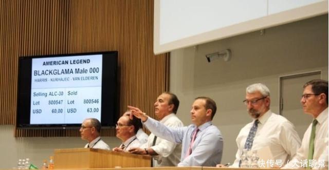 盗墓头子洗劫皇墓,留下一条裹尸被,在2008年卖出近2亿