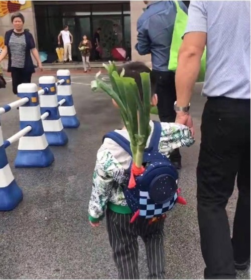 学校|孙子第一天上学,爷爷让孙子带葱去学校,网友:我跟清华就差根葱