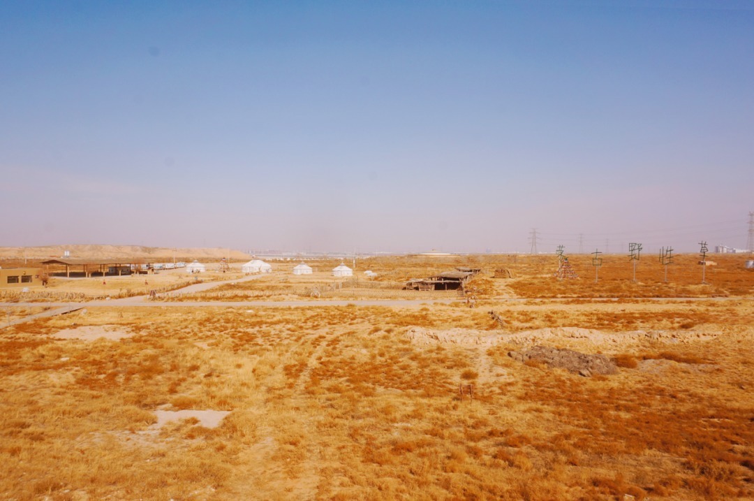 脚踏|一路银川,水洞沟遗址脚踏黄土来,机关四起藏兵洞