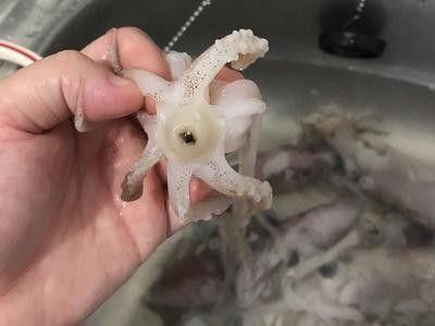 减肥|吃“40口肥肉”也能减肥,最爱蒜蓉粉丝鱿鱼啦美味极了