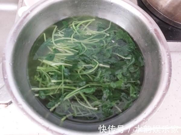 小白菜|它是“天然青霉素”，隔三差五必吃，肺热咳嗽都怕它，知道的人少