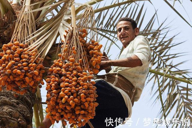 体重|女人腹部赘肉多，建议平时多吃这5种食物，体重蹭蹭掉回两位数