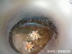 小鸡炖蘑菇：味道鲜美，肉质细嫩！