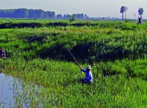 水草|“炎夏钓鱼费心思”第四篇经验之谈,夏季钓鱼如何选择钓点钓位
