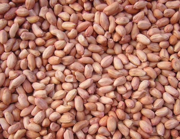 养胃|胃病的“养胃王”被找到,再穷也得舍得吃,或助你远离胃病