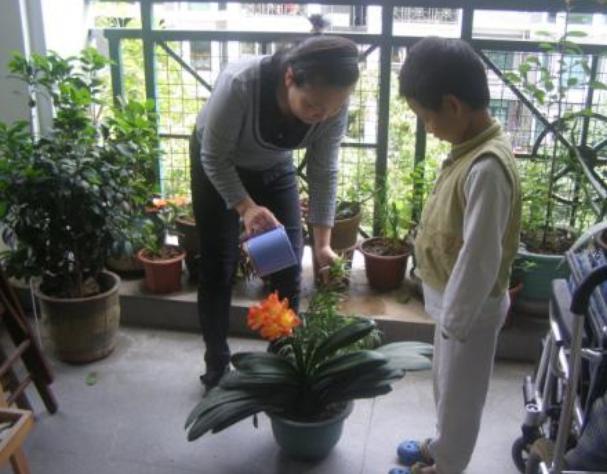 大姨养君子兰，天热挖坑埋点''它''，自带果香，侧芽蹭蹭窜