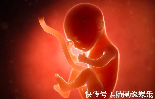 梅子|从蓝莓到西瓜,一张图带你了解顺产“开十指”,当妈真心不容易