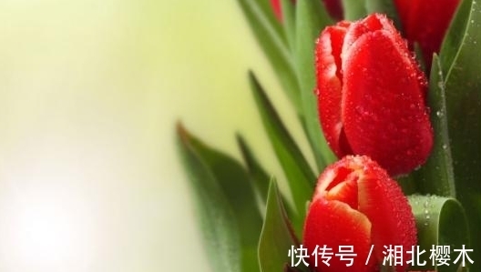 天秤|从7月29日开始，桃花漫天，温柔以盼，牵手佳人，矢志不渝