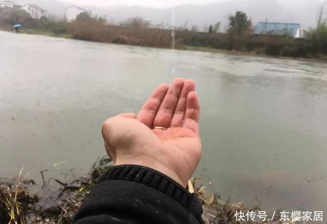 钓友|冬季钓鱼到底是晴天好还是雨天好?选对天气才能钓得更多