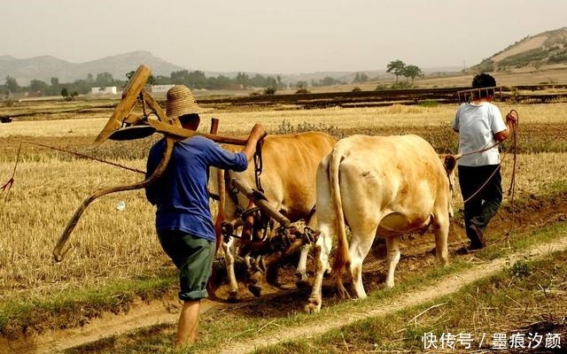  无穷|老人常说“猪往前拱，鸡往后刨”，具有指代啥如果领略获益无穷